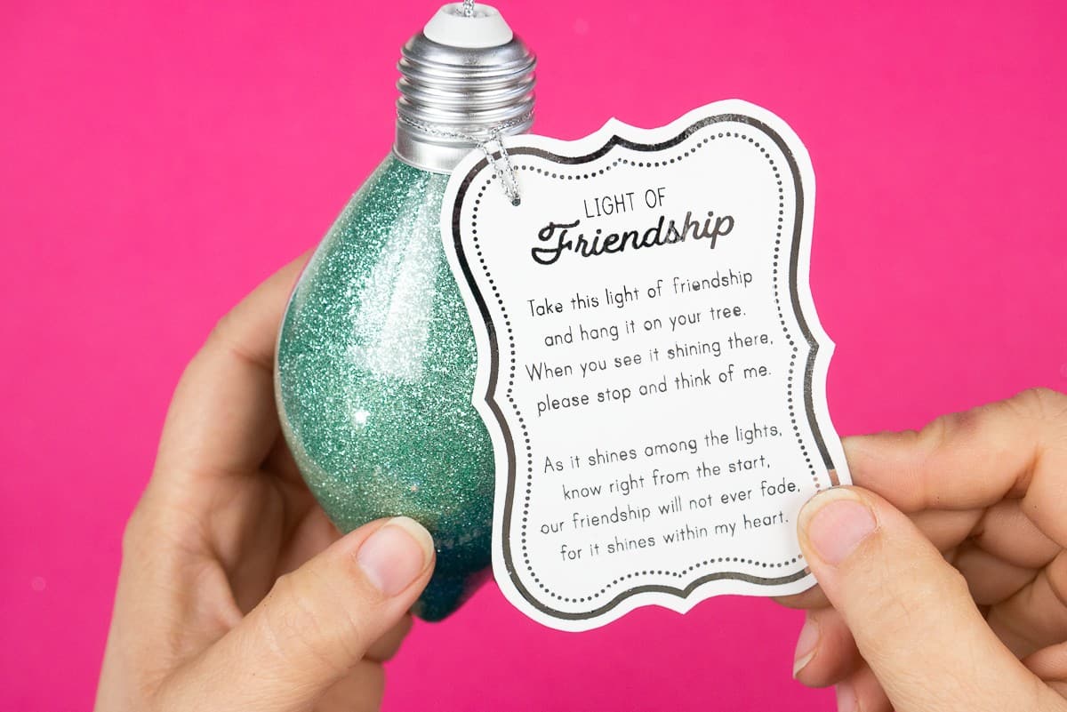 Hand holding a glitter ornament with a white tag that explains the "Friendship Light Ornament."
